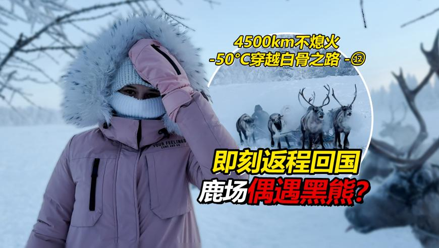 深圳出口实现32连冠,港京图库,国产化作答解释落实_免费版V6.29