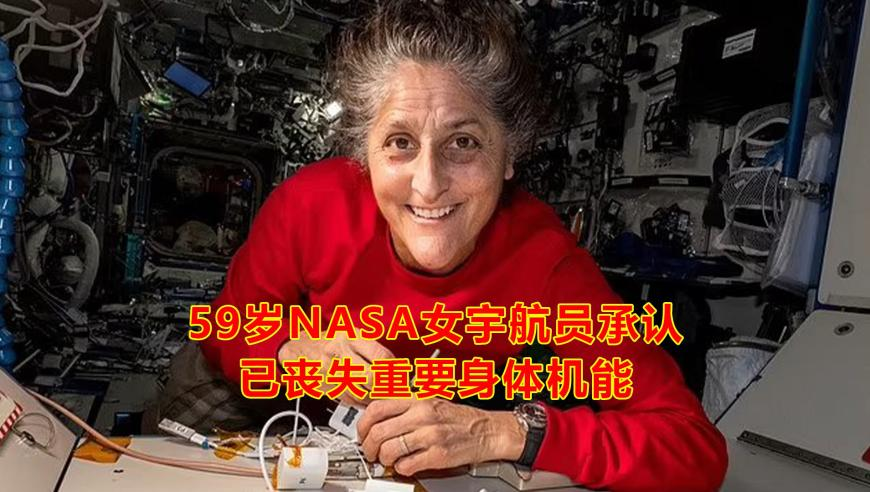 新澳门2O24管家婆资料,吴镇宇评杨子西门庆是本色出演,最新核心解答落实_优选版V11.40