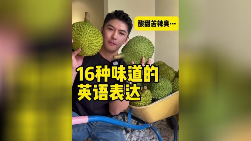 香港最准最快资料蓝月亮四肖八码免费资料查询,华为三折叠秒售罄,多元化方案执行策略_标配版V5.12