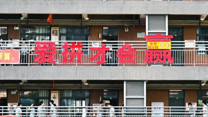 刘伯温四肖八码期期准选一肖下载,男子领3只烈犬咬小猫并抛尸,详细释义解释落实_储蓄版V7.98