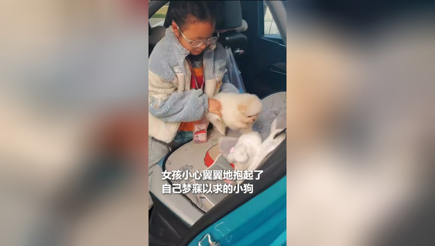 香港新一代跑狗网论坛,每个人都是自己生活的主角,多元化方案执行策略_测试版V3.3
